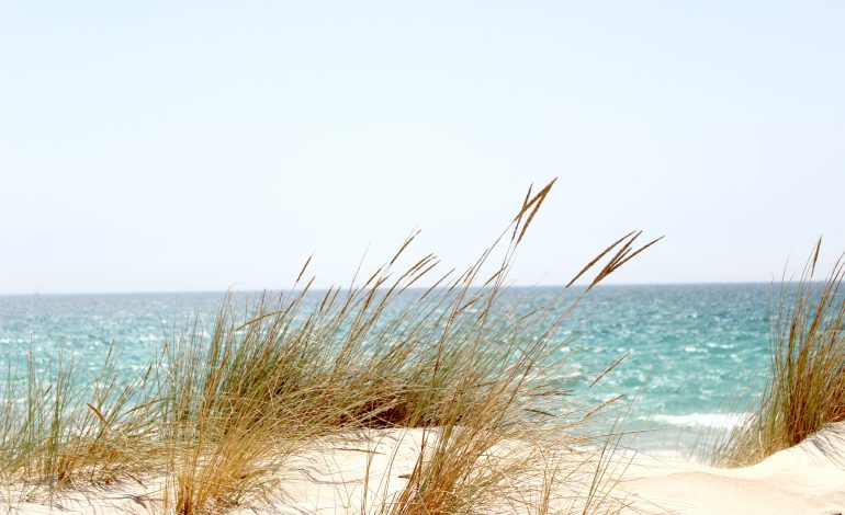 Op vakantie in eigen land