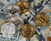 Wat is een Bitcoin wallet?