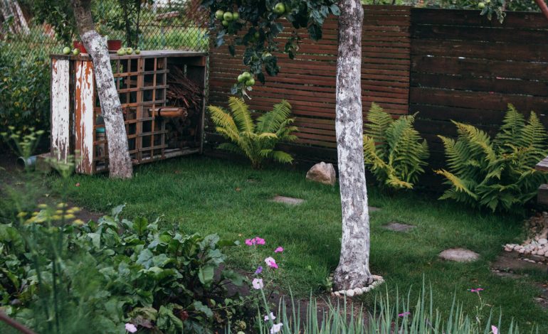 Is jouw tuin klaar voor het zomerseizoen?